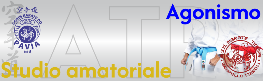 Pubblicità ATP CSI